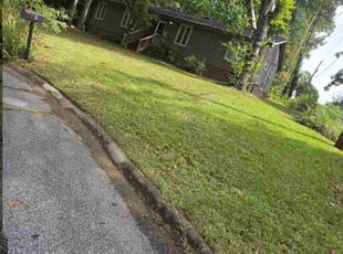 Nicole T.'s turf maintenance service result