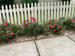 Alyssa W.'s Flower Bed Weeding service result