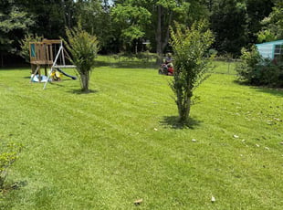 Colton B.'s lawn maintenance service result