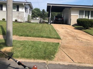 Sonia A.'s turf care service result