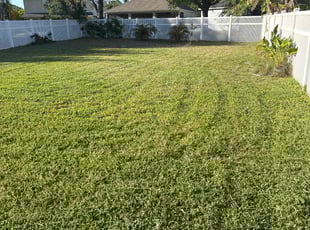 John H.'s grass cutting service result