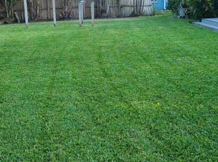 Jessica G.'s grass maintenance service result