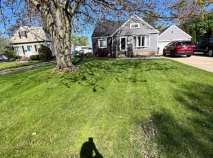 Michael B.'s turf maintenance service result