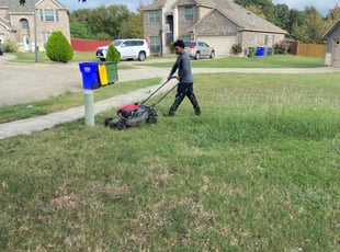 Rhonda F.'s turf care service result