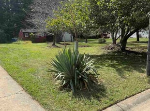 Roberta A.'s lawn care services service result