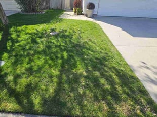 Scarlet B.'s lawn maintenance service result