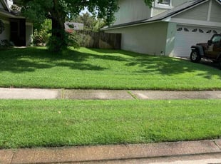 Donald R.'s turf care service result