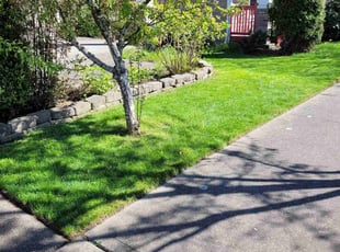 Lynore W.'s lawn care services service result