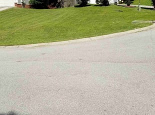Matthew V.'s grass maintenance service result