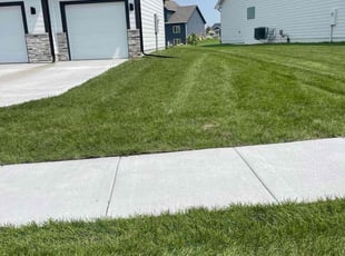 Jamu V.'s lawn service service result