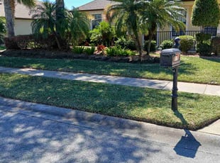 Chad H.'s lawn care service result