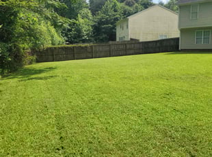 Elizabeth B.'s turf care service result