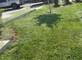 Carl H.'s lawn care services service result