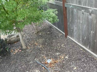 Z B.'s Cleanups service result