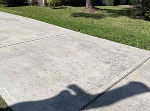 Glen R.'s turf care service result