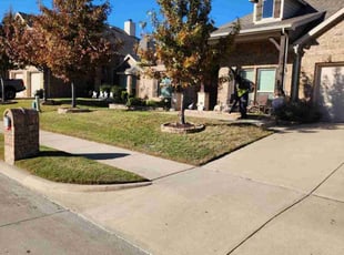 Joe M.'s lawn service service result