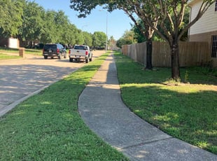 Glenn R.'s yard maintenance service result