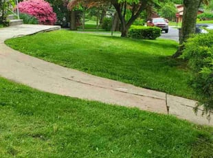 Charlene M.'s lawn maintenance service result
