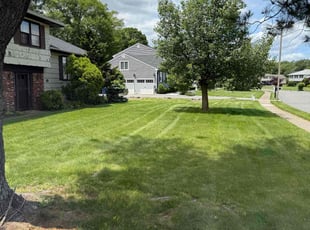 Kacey H.'s grass maintenance service result