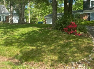 Ken S.'s turf maintenance service result