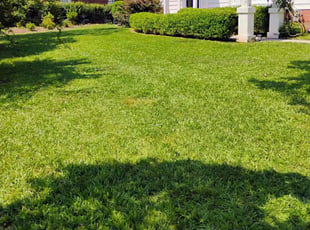 Patricia B.'s lawn maintenance service result