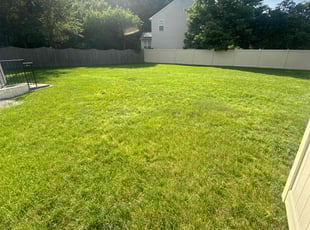 Huston M.'s turf care service result
