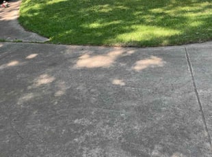 Kelly O.'s grass cutting service result