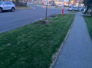 Angela M.'s lawn service service result