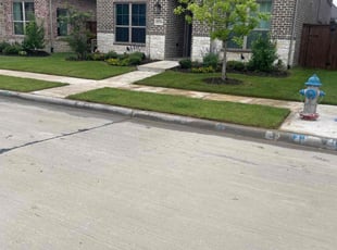 Dani C.'s grass cutting service result