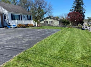 Vincent W.'s turf care service result