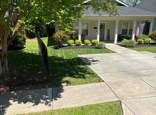 Megan R.'s lawn care service result