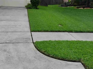 Savannah H.'s lawn maintenance service result