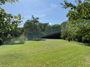 Alia W.'s lawn service service result
