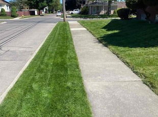 Star O.'s residential landscaping service result