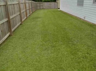 Otis B.'s grass cutting service result