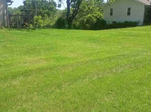 Garrett C.'s grass cutting service result