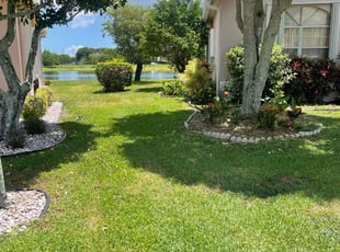 Peter C.'s grass maintenance service result