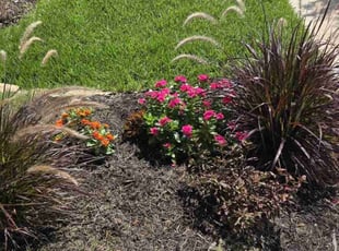 Damitri R.'s Flower Bed Weeding service result