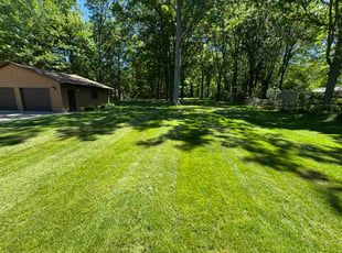 Richard H.'s lawn service service result