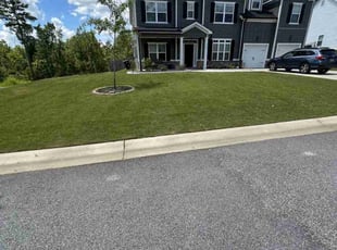Jane E.'s grass cutting service result