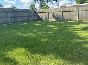 Simone C.'s grass maintenance service result