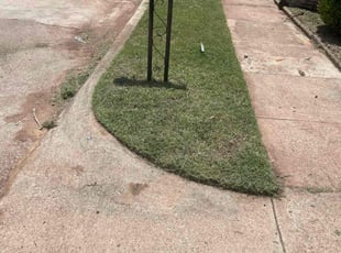Katie F.'s lawn maintenance service result