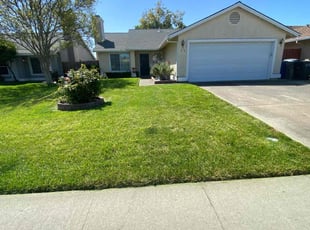 Alexandra W.'s lawn service service result