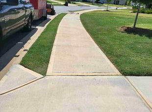 Alex A.'s lawn care services service result