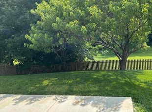 Jason H.'s lawn maintenance service result