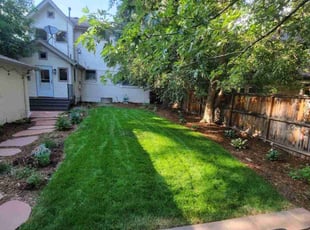 Patrick G.'s turf maintenance service result