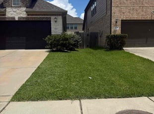 Fred F.'s lawn service service result