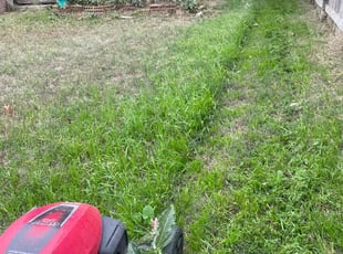 Barbara J.'s lawn care service result