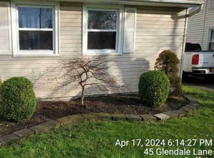 Oksana T.'s Bush Trimming service result