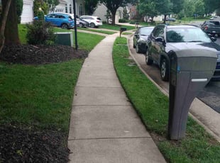 Bill R.'s lawn care services service result